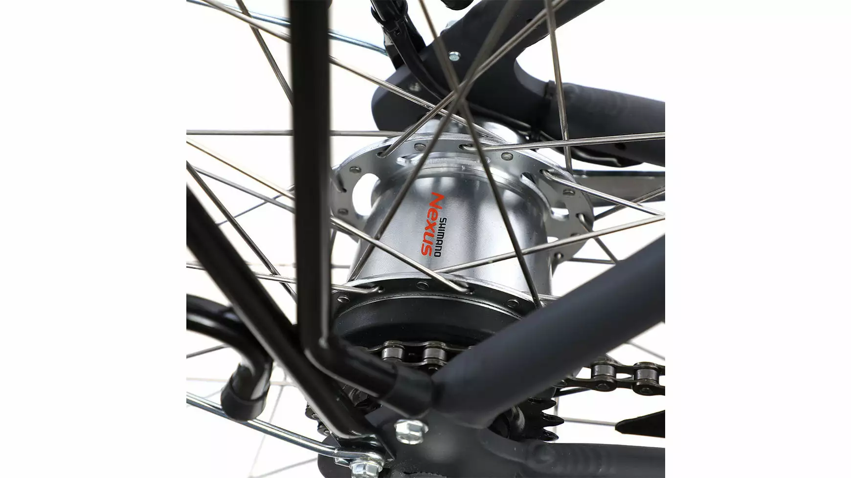 Bocas Bari – Bild 2