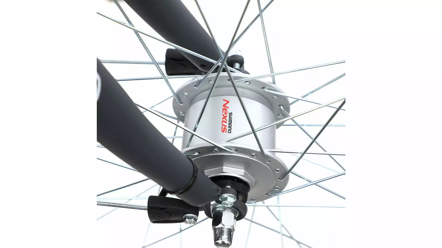 Bocas Bari – Bild 3