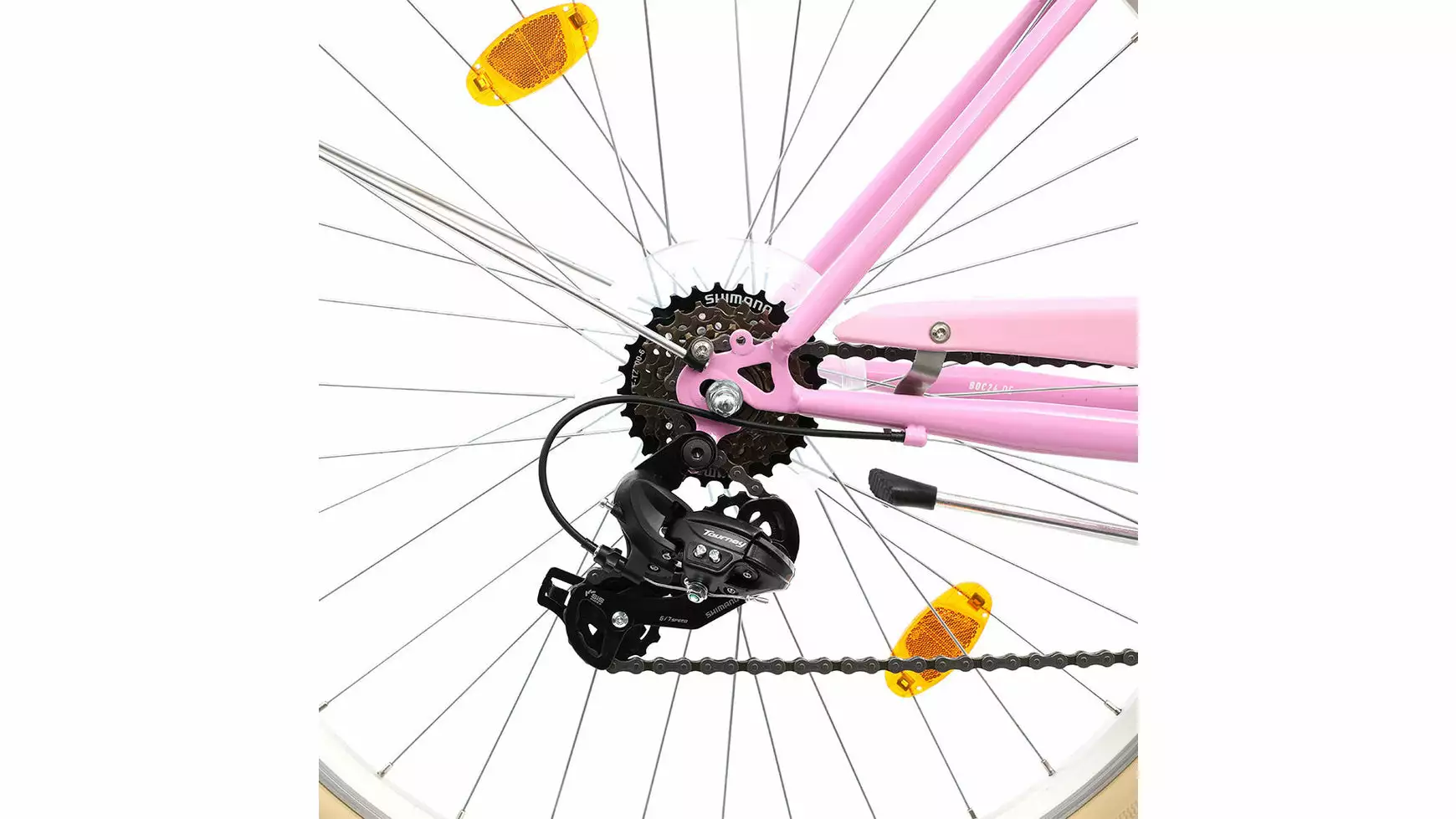 Bocas Palma FT – Bild 3