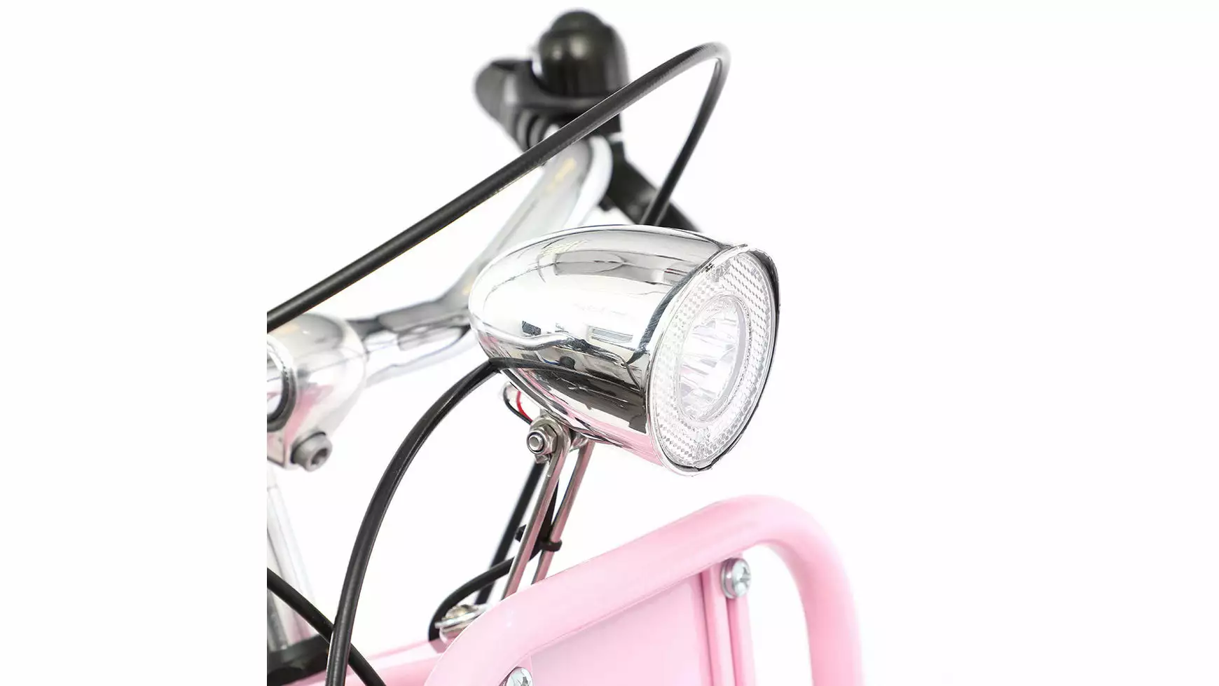 Bocas Palma FT – Bild 5