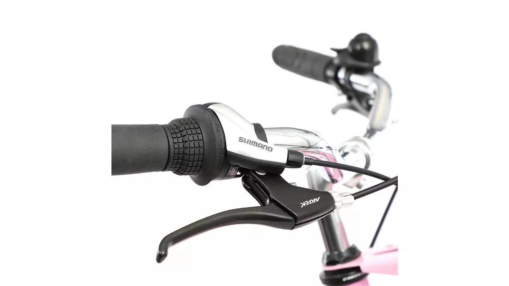 Bocas Palma FT – Bild 6