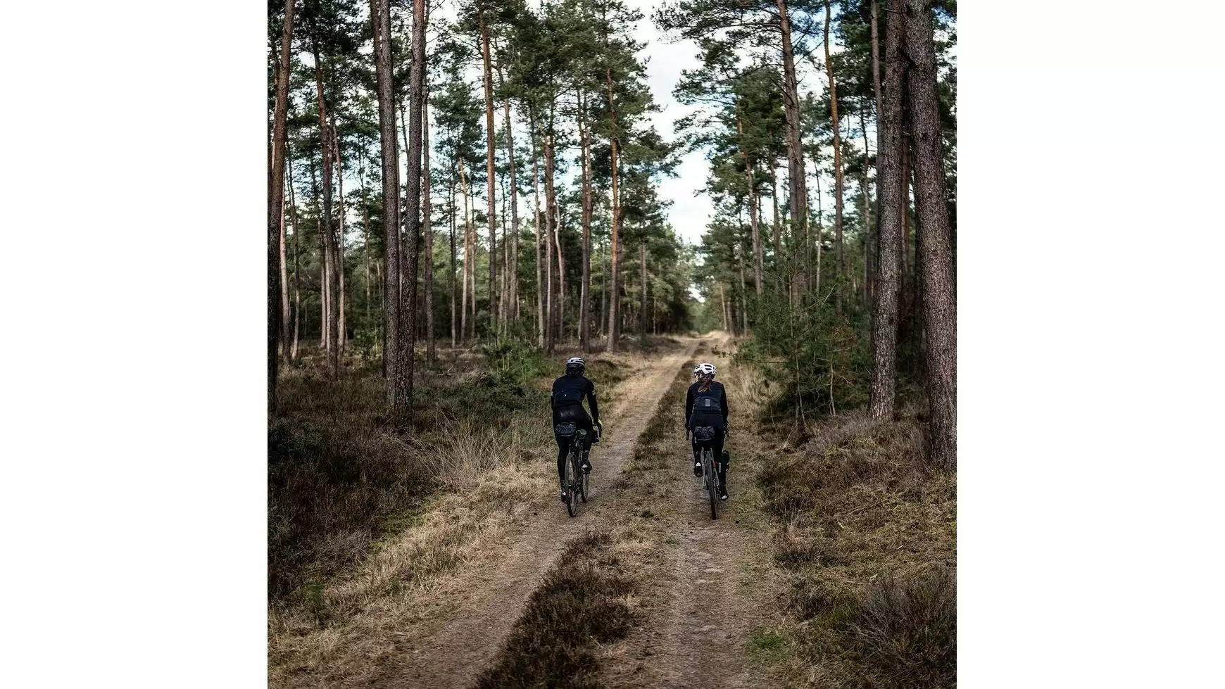 BBB ColdShield Tights – Bild 9