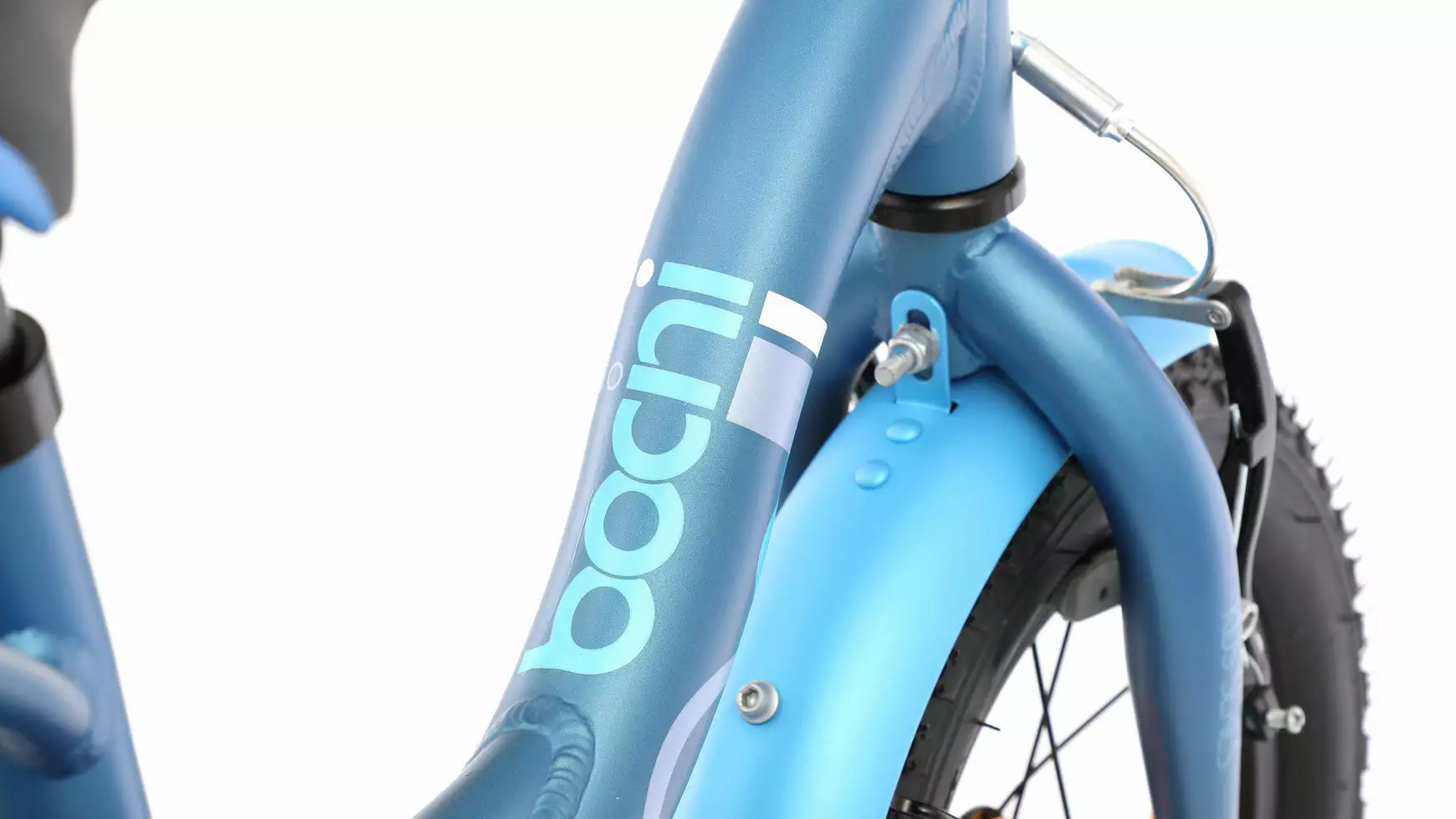 Bocini Leon 12 – Bild 2