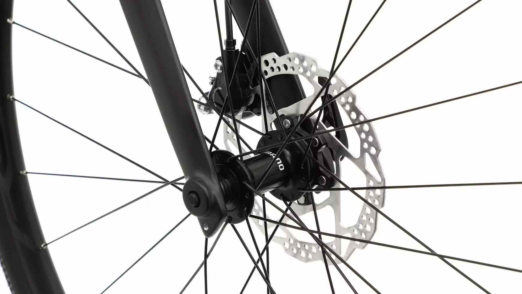 Compel RX 10.0 – Bild 2