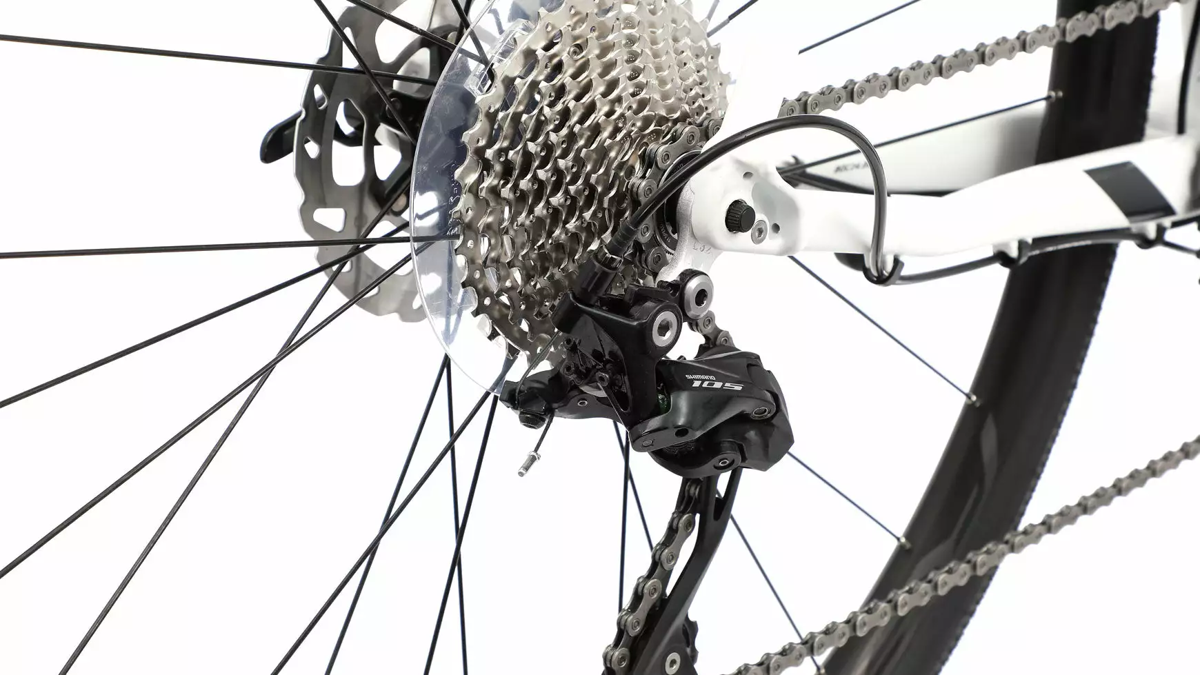 Compel RX 10.0 – Bild 3