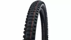 Schwalbe Big Betty Evo SG 29
